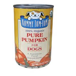 100 Percent Pure Pumpkin For Dogs Supplement