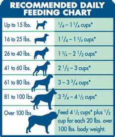 Nutrisource Large Breed Puppy Food Feeding Chart