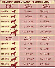 Dog Recommended Feeding Chart
