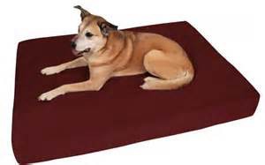 Large Orthopedic Dog Bed