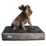 Better World Pets Quality Orthopedic Dog Bed