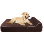 Extra Large 7'' Orthopedic Memory Foam Dog Bed With 3'' Pillow - Includes Waterproof Inner Protector - Dark Chocolate