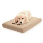 Milliard Premium Orthopedic Memory Foam Dog Bed with Anti-Microbial Waterproof Non-slip Cover, Medium 34x22x4 in