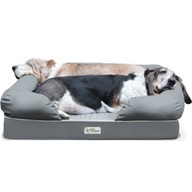 PetFusion Ultimate Dog Bed & Lounge. (Large; 36x28x9.5"). Premium ed. w/ Solid 4" Memory Foam