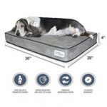 PetFusion SerenityLounge Dog Bed (Large, 36x28x 4"). Premium Suede Cover w/ Solid 4" Memory Foam.