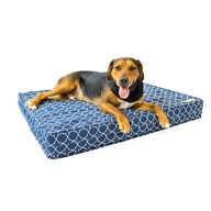 Orthopedic Dog Bed - 5" Thick | Supportive Gel Enhanced Memory Foam - Made in the USA