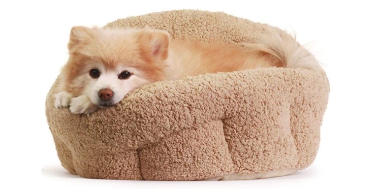 Best Friends By Sheri Donut Dog Bed