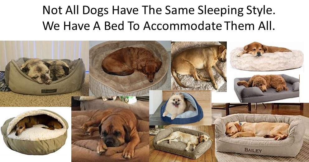 Dog Luxury Beds Dogs We have a Dog Luxury Bed For All Dog Sleeping Styles 