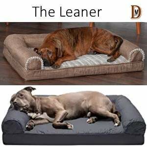 Dog Sleeping Style The Leaner