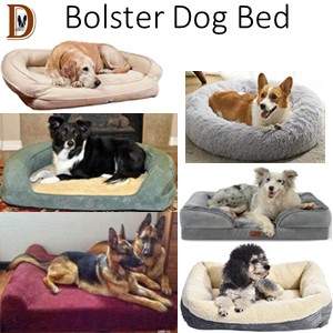 How To Buy A Dog Bed Bolster Dog Bed Type