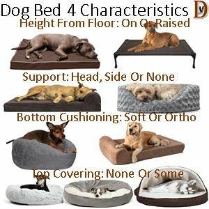 How To Buy A Dog Bed Four Characteristics Height Support Cushioning Cover