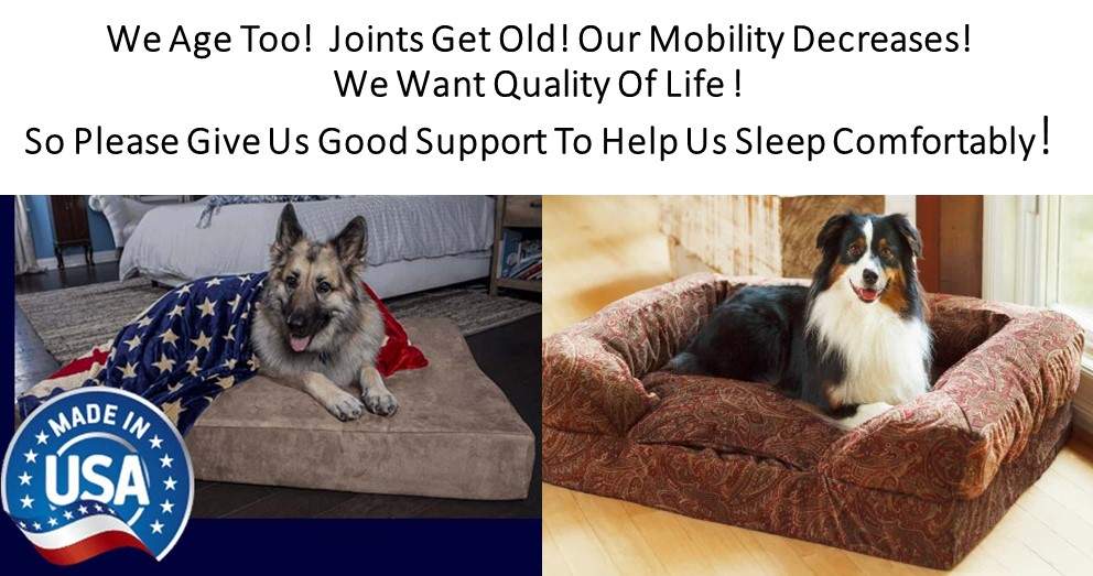 Orthopedic Dog Beds Made In The USA We Grow Old Too. So Please Give Us a Comfortable Bed