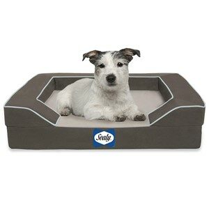 Sealy Bolster Orthopedic Dog Bed Small Dogs