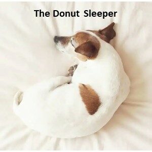 Sleeping Styles - Donut Sleeper