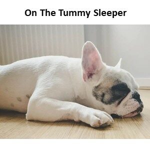 Sleeping Styles - On The Tummy Sleeper