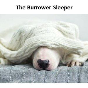 Sleeping Styles - The Burrower Sleeper