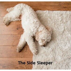 Sleeping Styles - The Side Sleeper