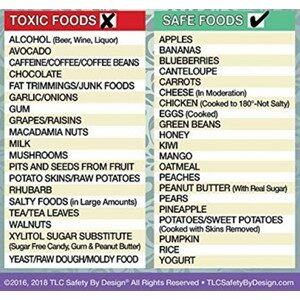 Toxic and Safe Foods For Dogs Chart