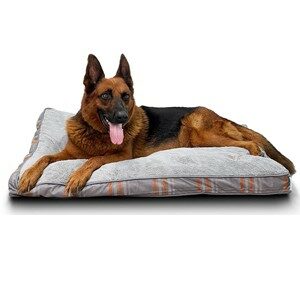 Pillow Style Dog Bed