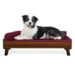 Raised Or Elevated Dog Bed