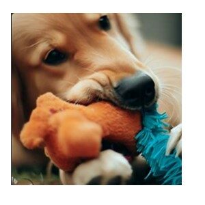 Dog Chewing On A Toy