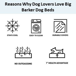 Reasons Why Dog Lovers Love Big Barker