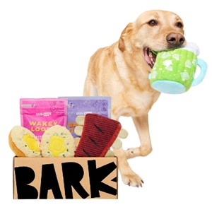Pictured is the BarkBox Subscription Dog Box