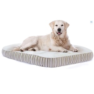 Pictured is the Essentia Kingston Large Organic Dog Bed