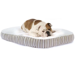 Pictured is the Essentia Kingston Medium Organic Dog Bed