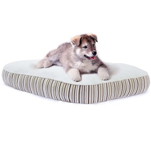Pictured is the Essentia Kingston Small Organic Dog Bed