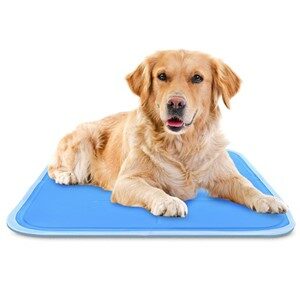 Green Pet Shop Dog Cooling Mat