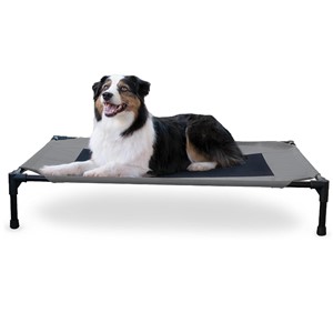 Pictured is the K&H Pet Products Elevated Cooling Dog Bed