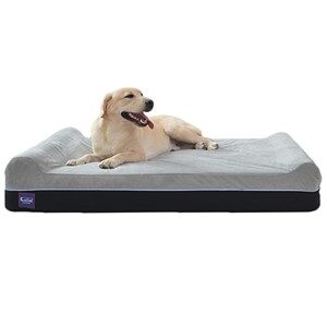 Laifug Orthopedic Memory Foam Bed with Pillow