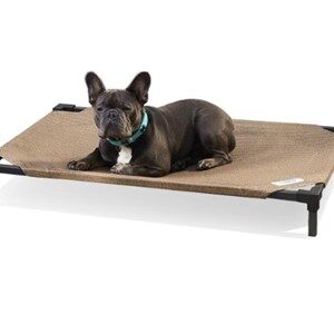 Tips for Buying A Dog Bed for French Bulldogs – Dog Luxury Beds