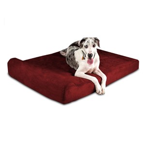 Pictured is the Big Barker Orthopedic Jumbo Bed w/Headrest