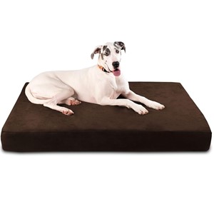 Pictured is the Big Barker Orthopedic Bed Chocolate