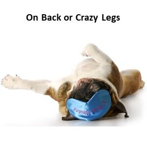 On Back or Crazy Legs Position