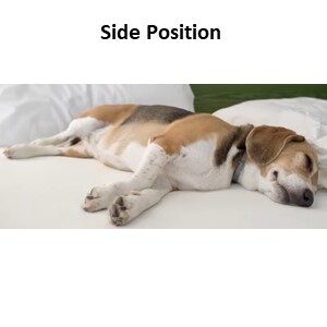 Side Position