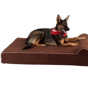 Bully Beds Orthopedic Rectangle Bed with Headrest