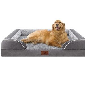 Comfort Expression Orthopedic Sofa Bed