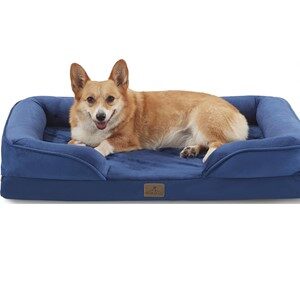 Bedfolks Orthopedic Sofa Dog Bed