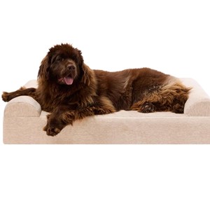 Barker Beds Orthopedic XL Sofa Bed Barker Beds Orthopedic XL Sofa Bed